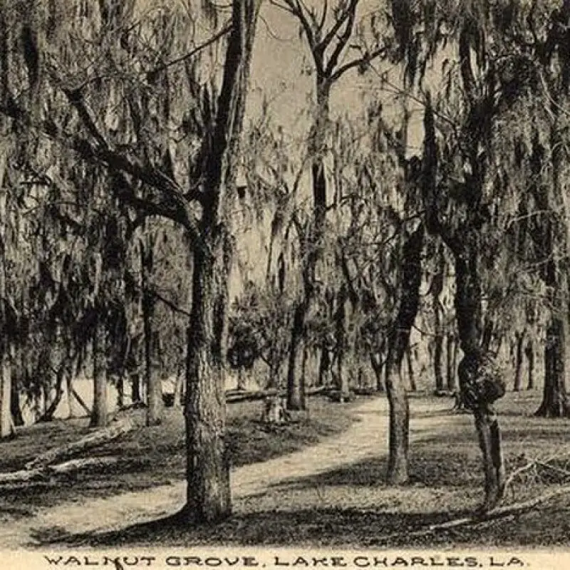 Walnut_grove_lake_charles_la_postcard_1910